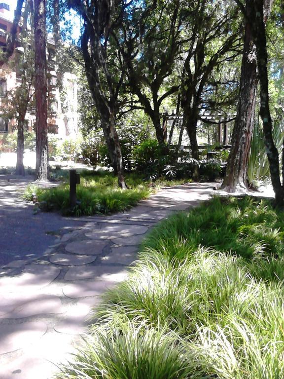Apartamento Com Vista Da Montanha - Gramado Apartment Cameră foto